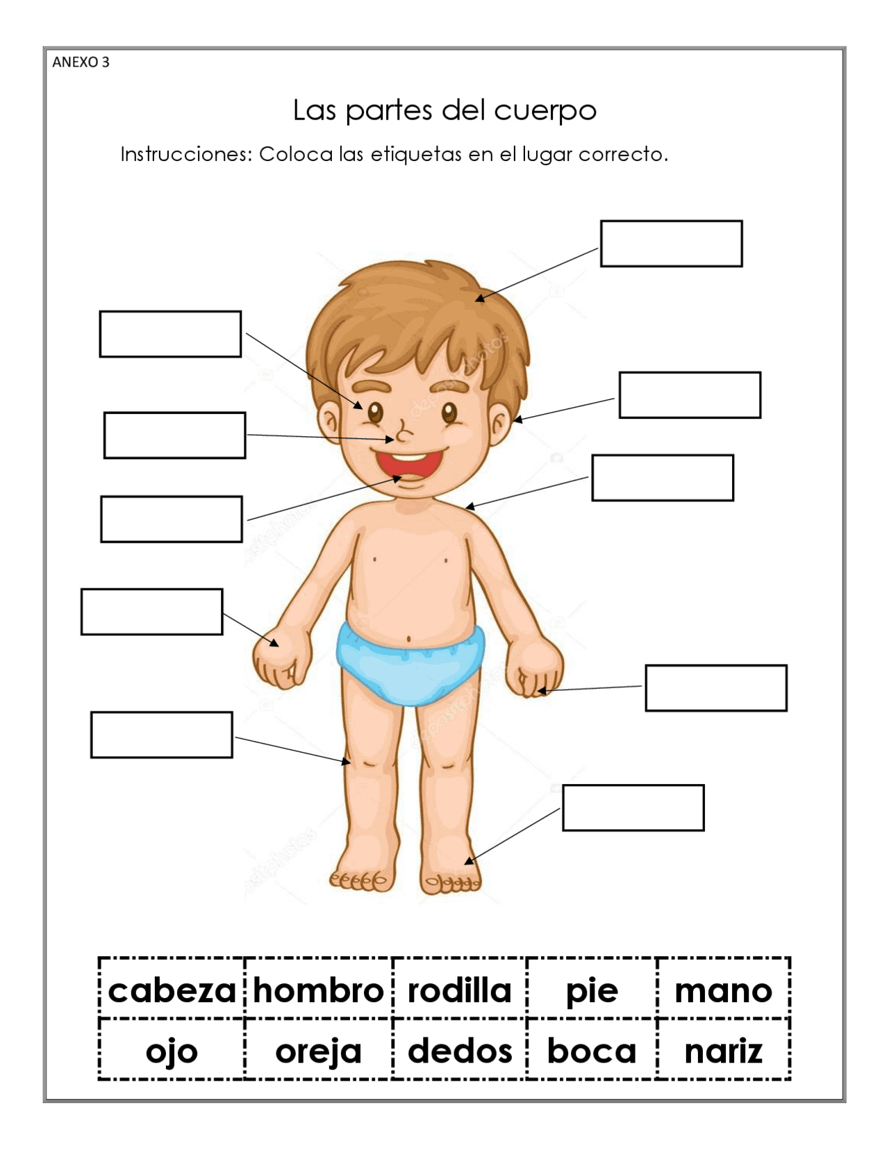 Las Partes Del Cuerpo Answer Key Dibujos Cute Para Imprimir Las partes del cuerpo answer key dibujos cute para imprimir