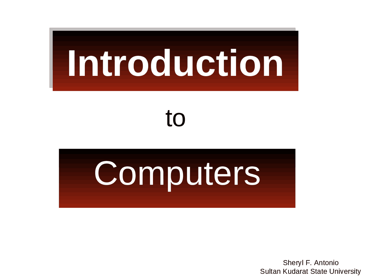 Introduction to Computer | Summaries Computer Science | Docsity