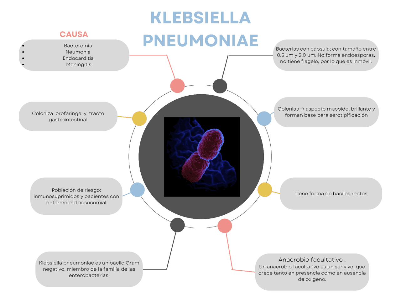 Klebsiella pneumoniae | Diapositivas de Microbiología | Docsity