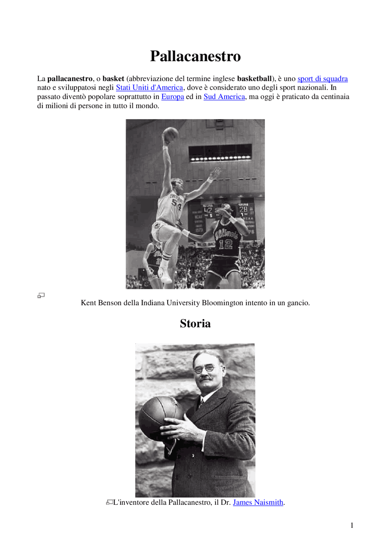 Ricerca sulla storia della pallacanestro Dispense di Italiano Docsity