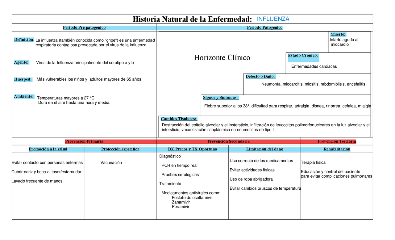 Historia natural de la enfermedad de influenza | Esquemas y mapas