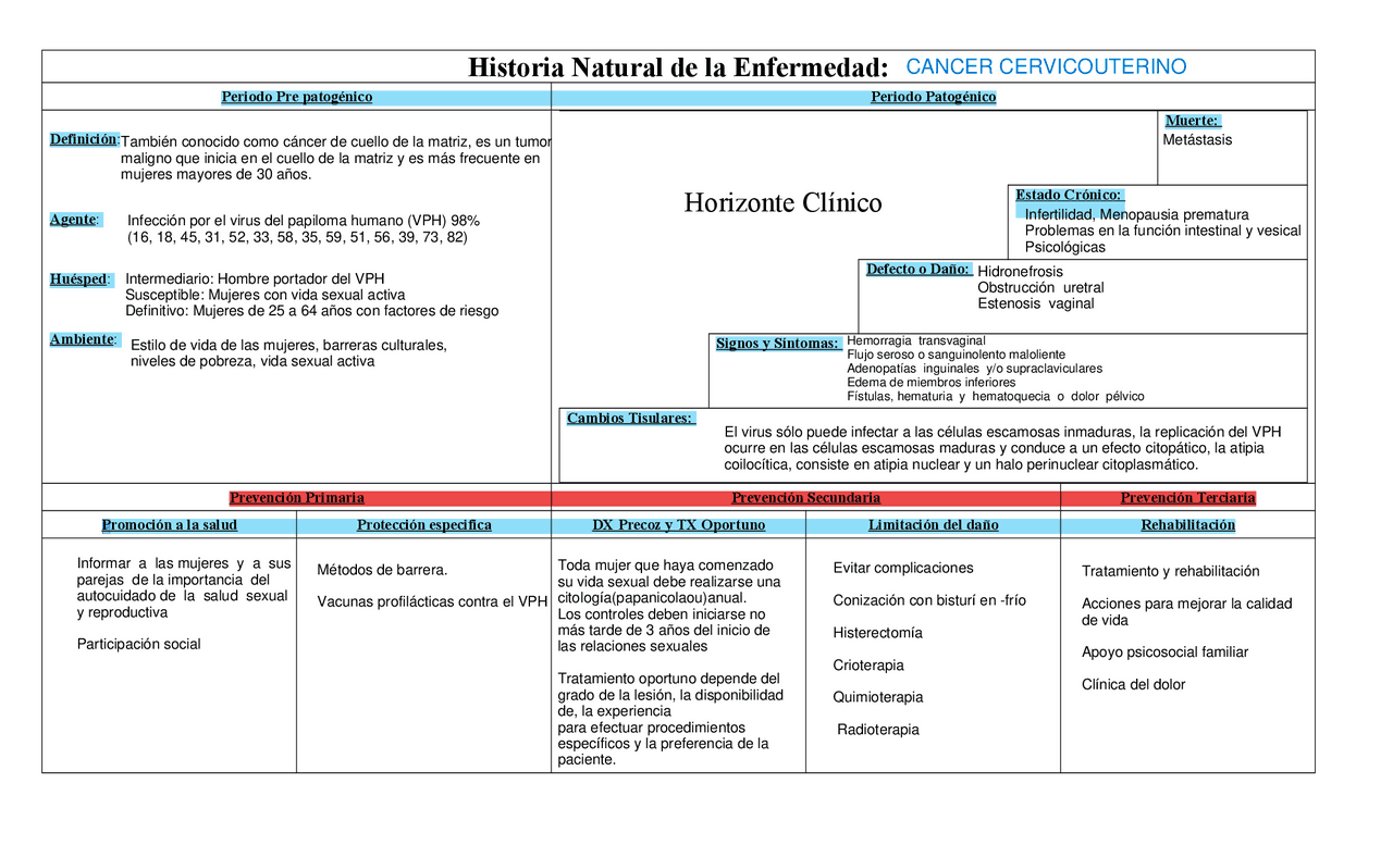 Historia natural de la enfermedad de cancer cervicouterino | Esquemas y