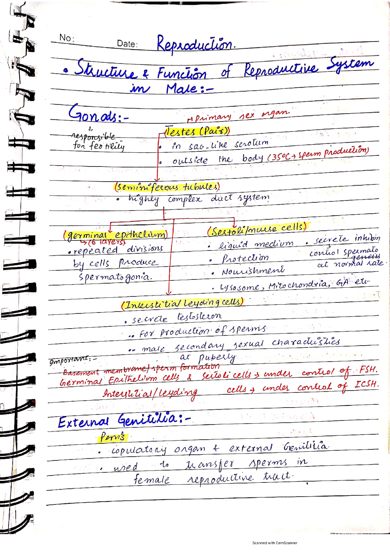 Biology - Reproduction System - Handwritten Notes | Study notes Biology ...