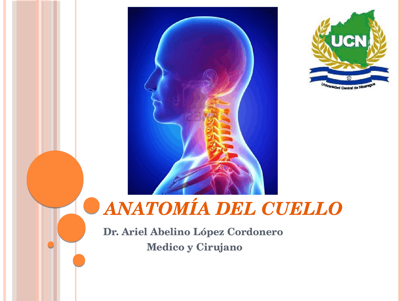 Anatomia de cuello y huesos | Esquemas y mapas conceptuales de Anatomía ...