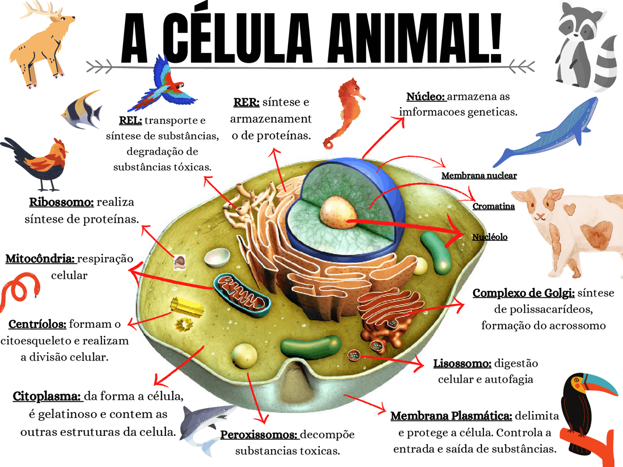 Mapa Mental Sobre Célula - NAZAEDU