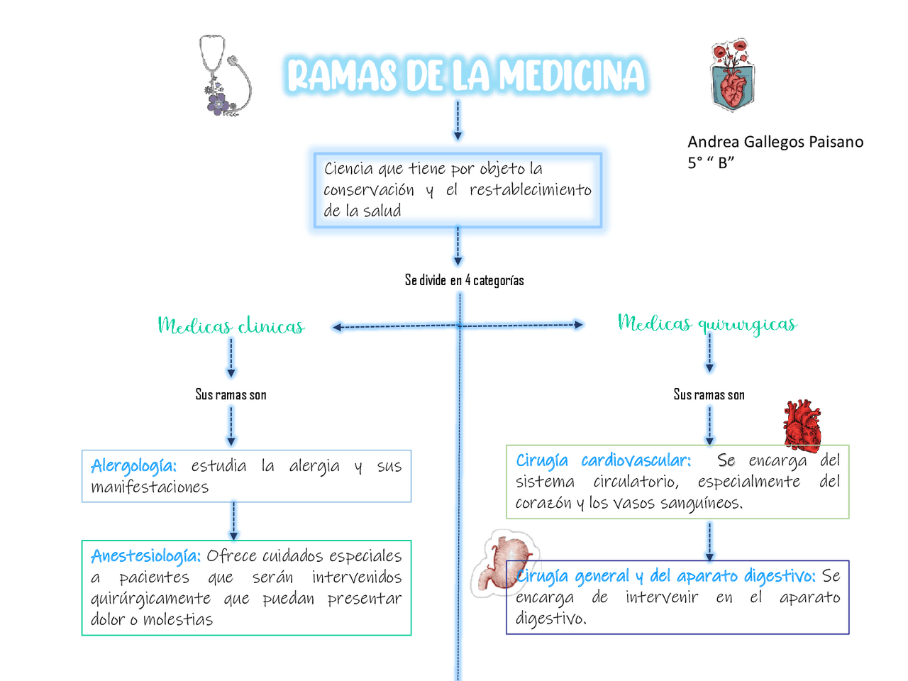 Ramas De La Medicina Que Estudia El Cuerpo Humano