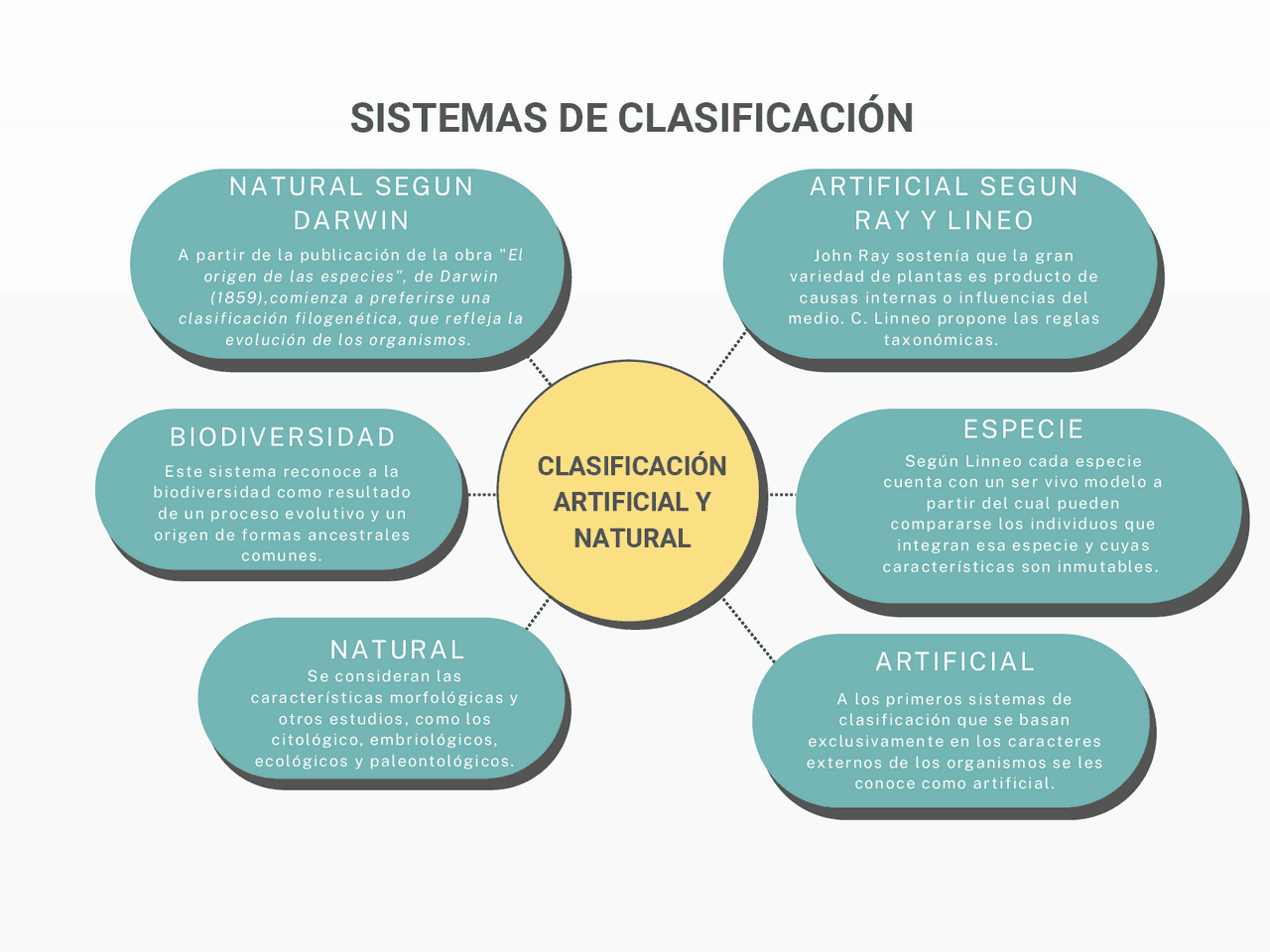 Sistema De Clasificacion Artificial En Biologia www.docsity.com