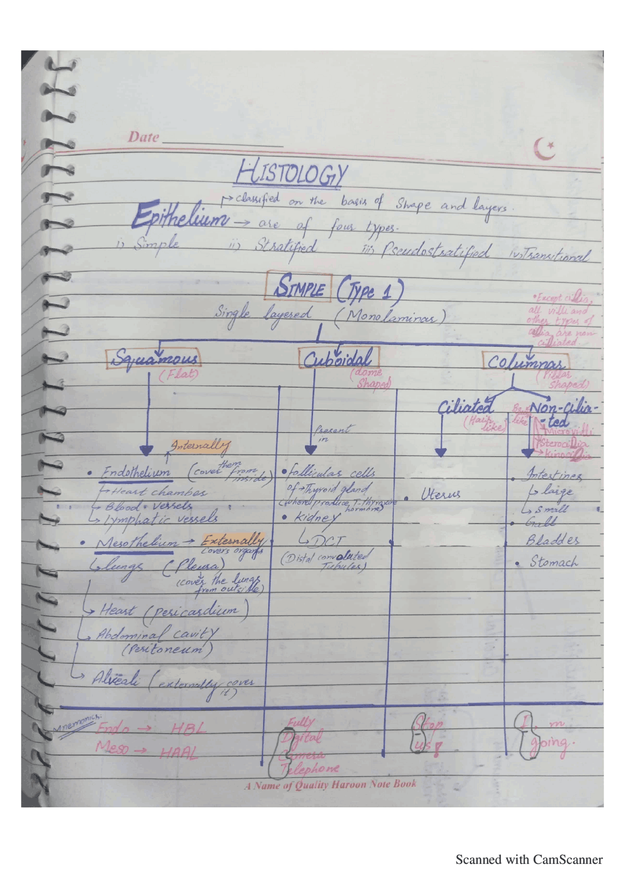 Histology Handwritten Notes | Summaries Histology | Docsity