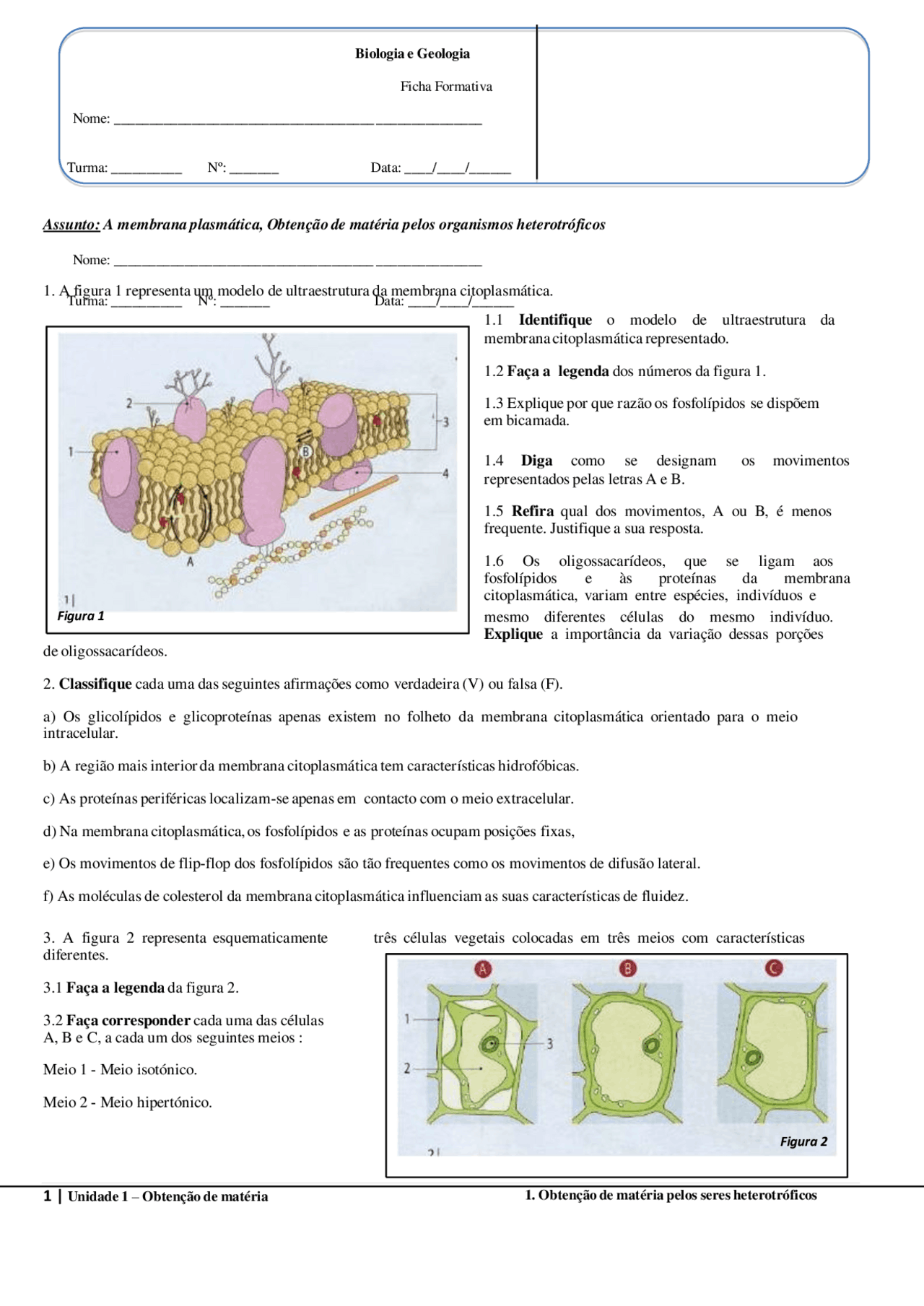 Exercicios de Biologia | Provas Biologia | Docsity