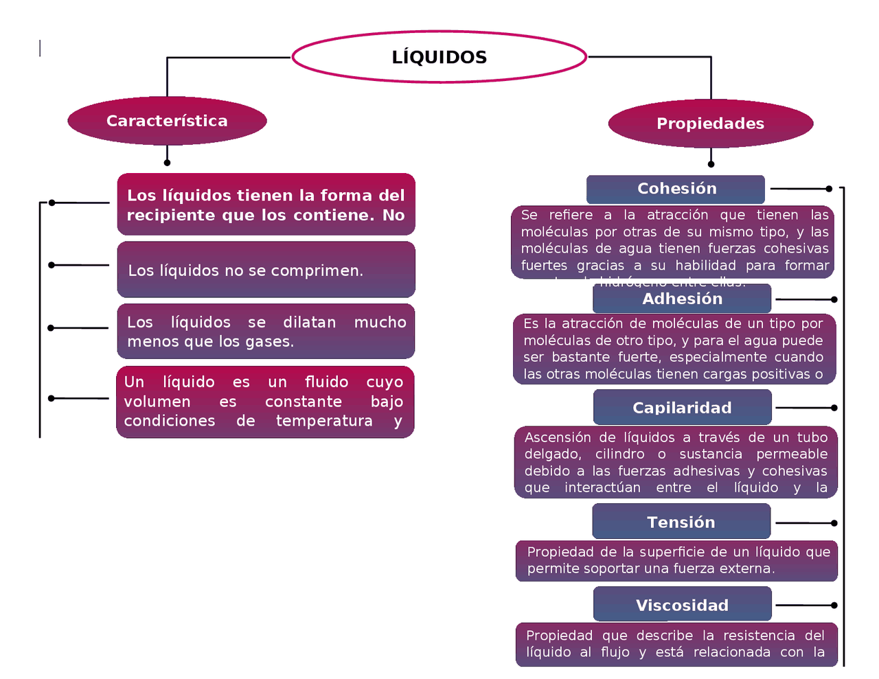 Características y Propiedades de los Líquidos | Apuntes de Química
