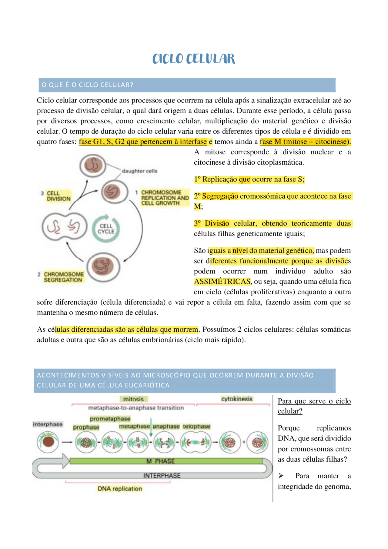 Ciclo Celular: Fases, Regulação e Controle | Resumos Biologia | Docsity