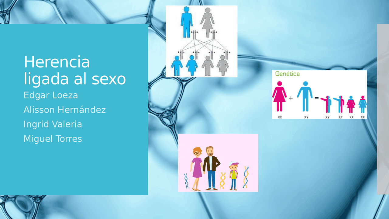 HERENCIA LIGADA AL SEXO | Resúmenes de Embriología | Docsity