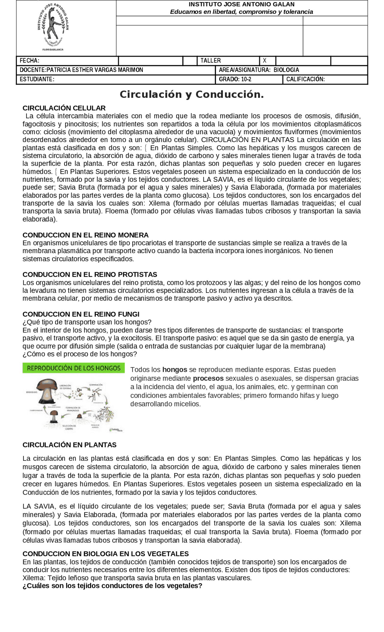 Circulación y transporte de sustancias en los seres vivos | Esquemas y  mapas conceptuales de Biología | Docsity