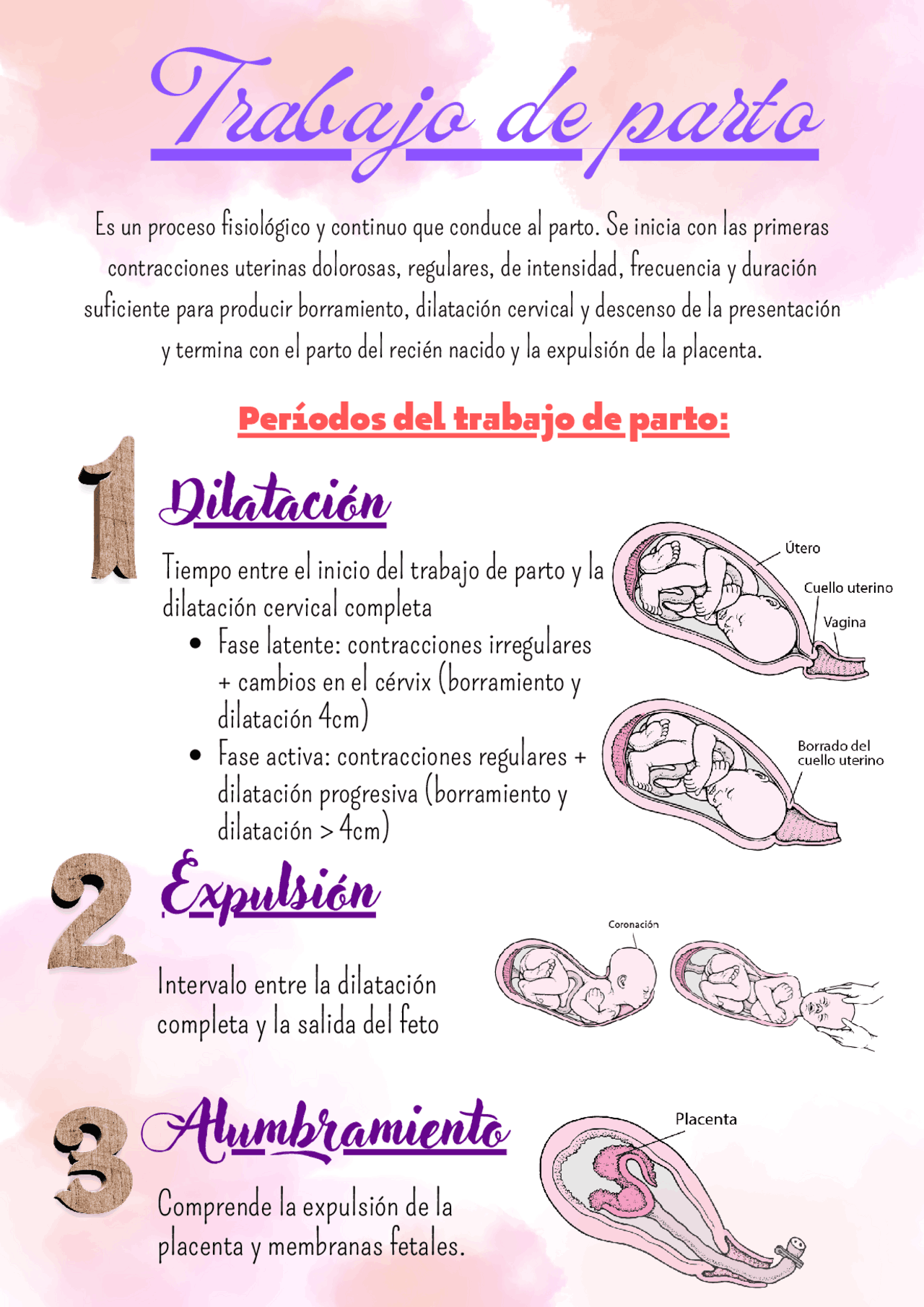Definición De Parto: Características Y Tipos – JUSTSD
