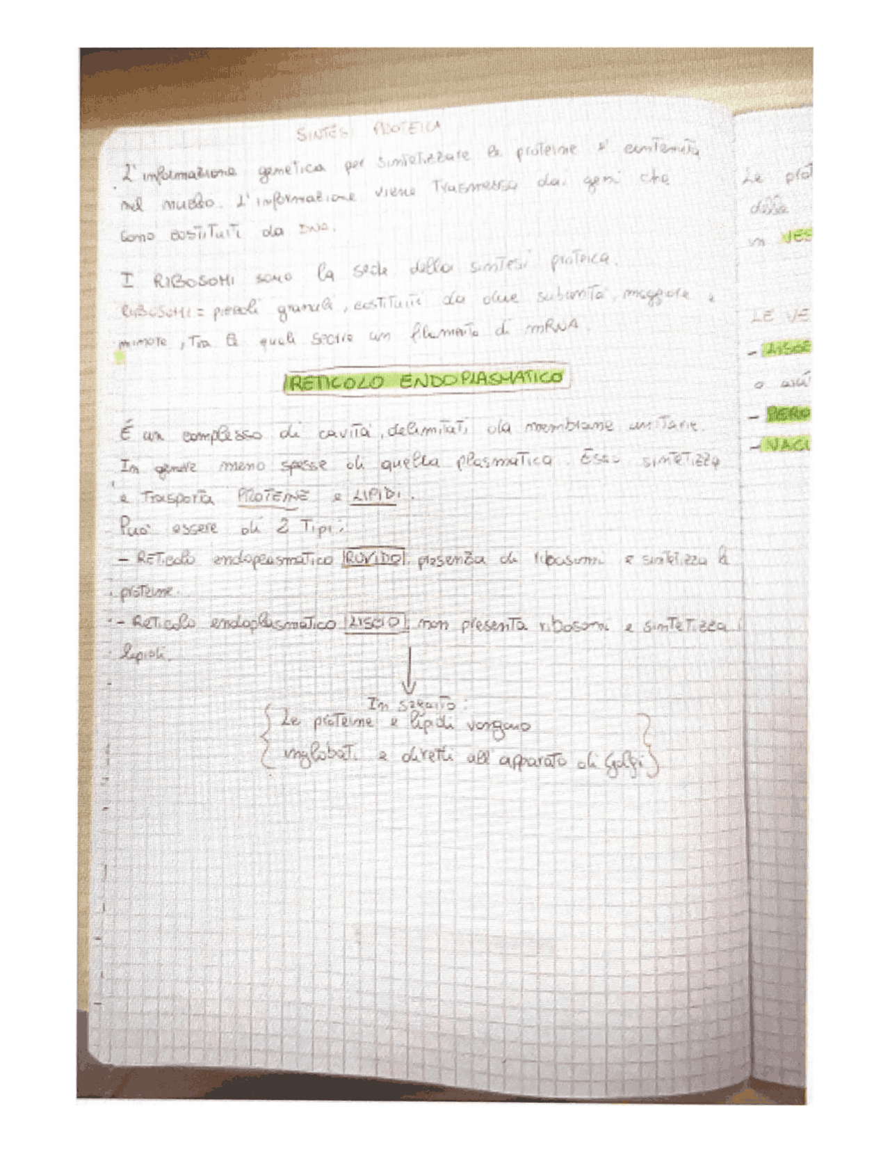 SP CONNECT Supporto per Cellulare - 2 Pezzi - Tool SPC