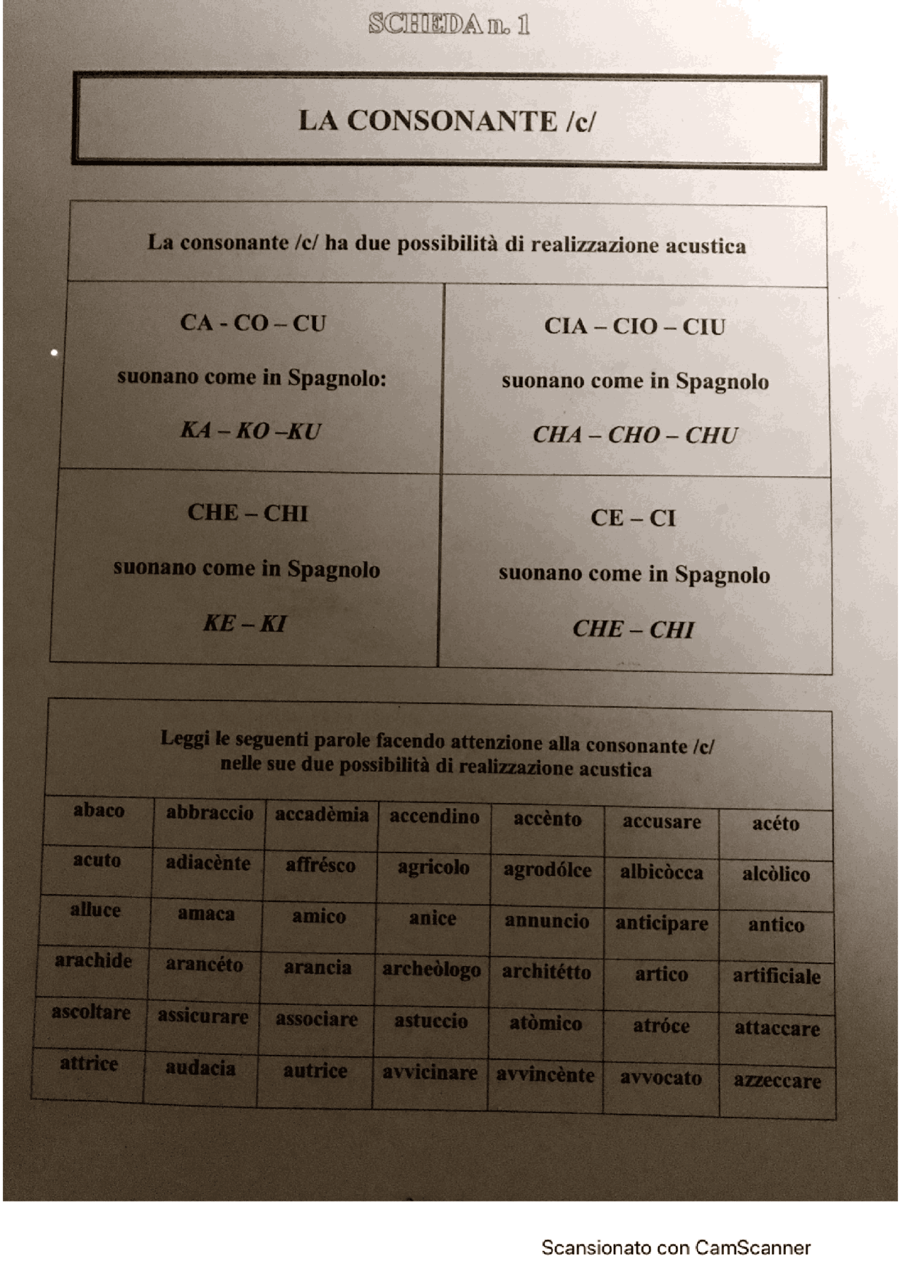Consonaste del idioma italiano | Ejercicios de Idioma Italiano | Docsity