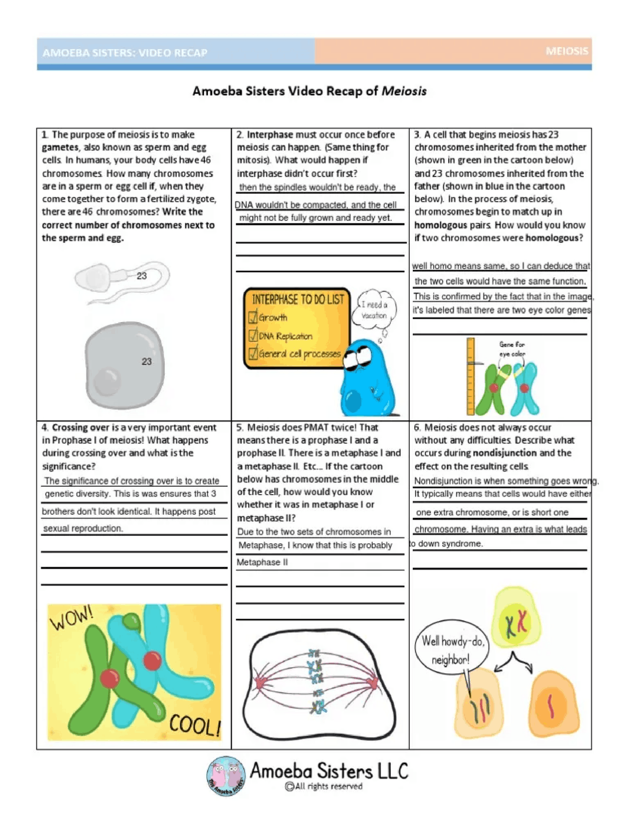 amoeba-sister-s-recap-cheat-sheet-biology-docsity