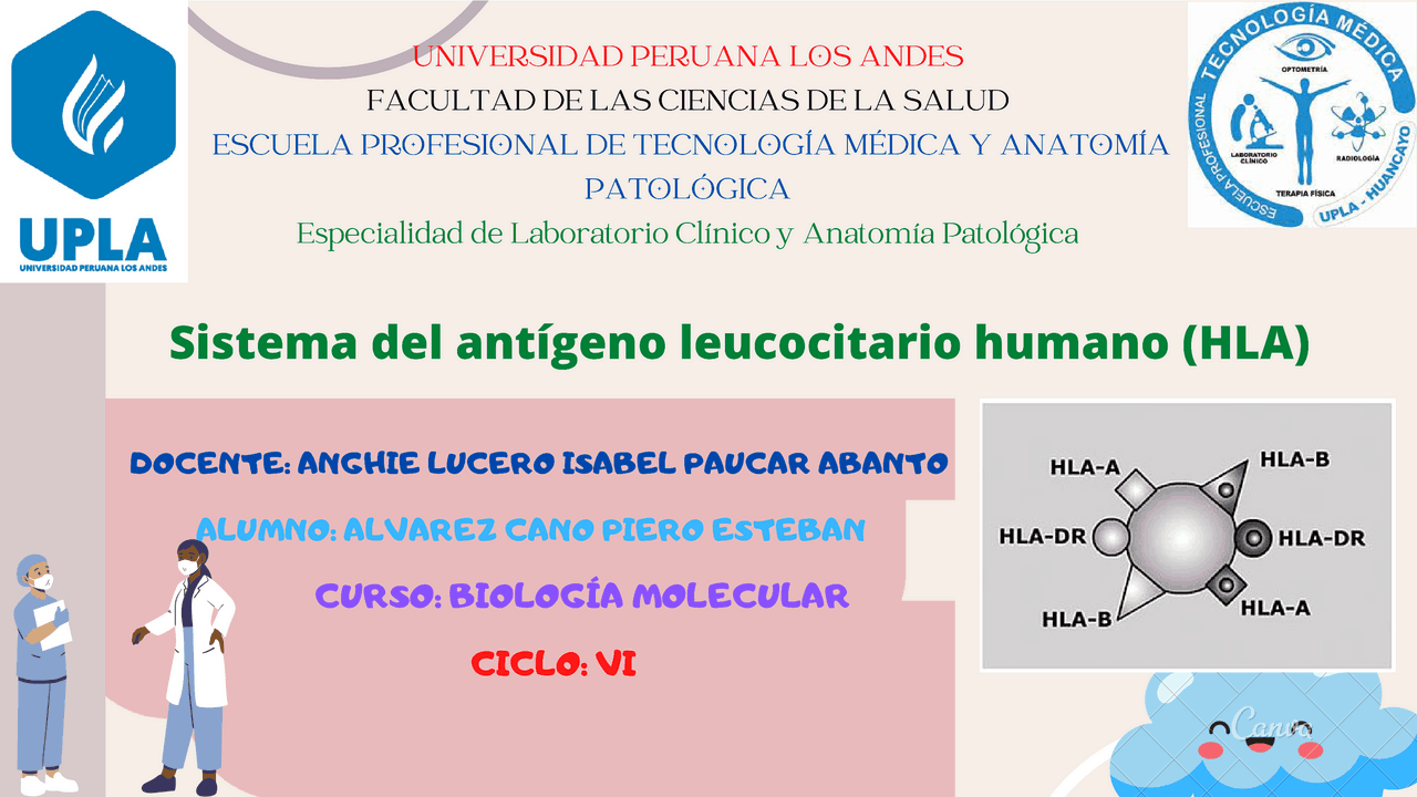 HLA(antígenos leucocitarios humanos) Diapositivas de Biología