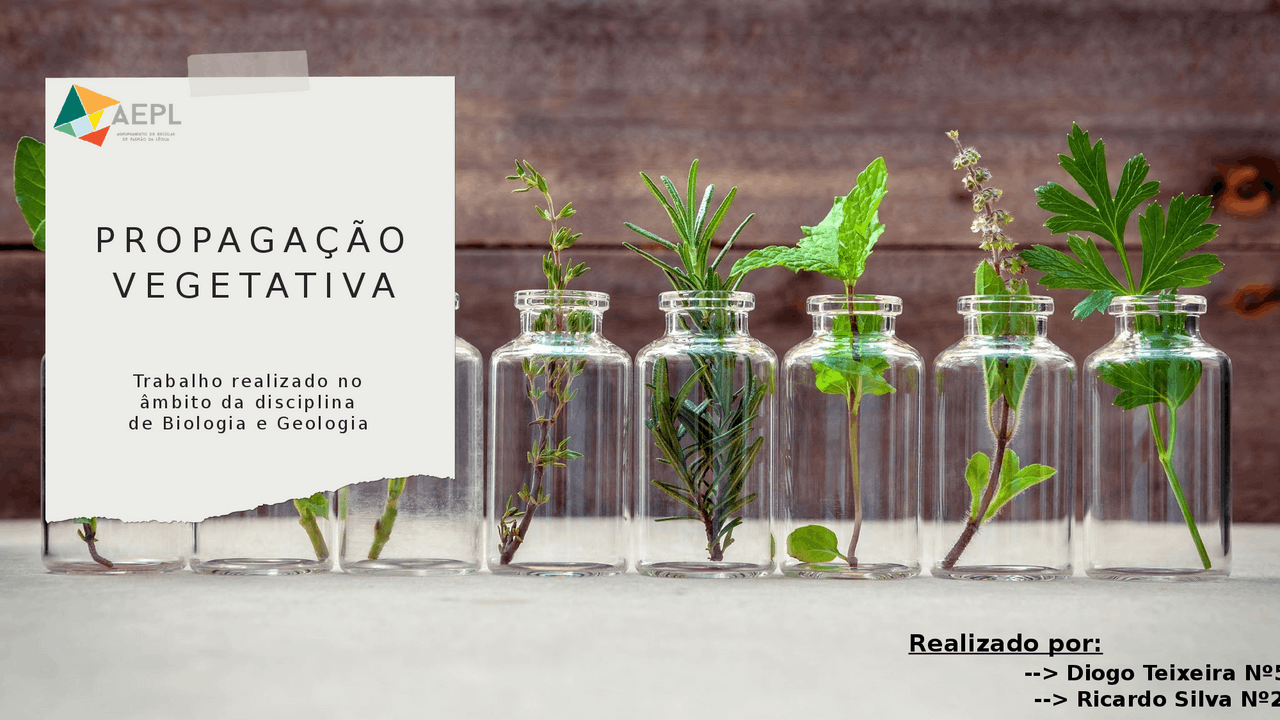 Propagação vegetativa | Resumos Biologia | Docsity