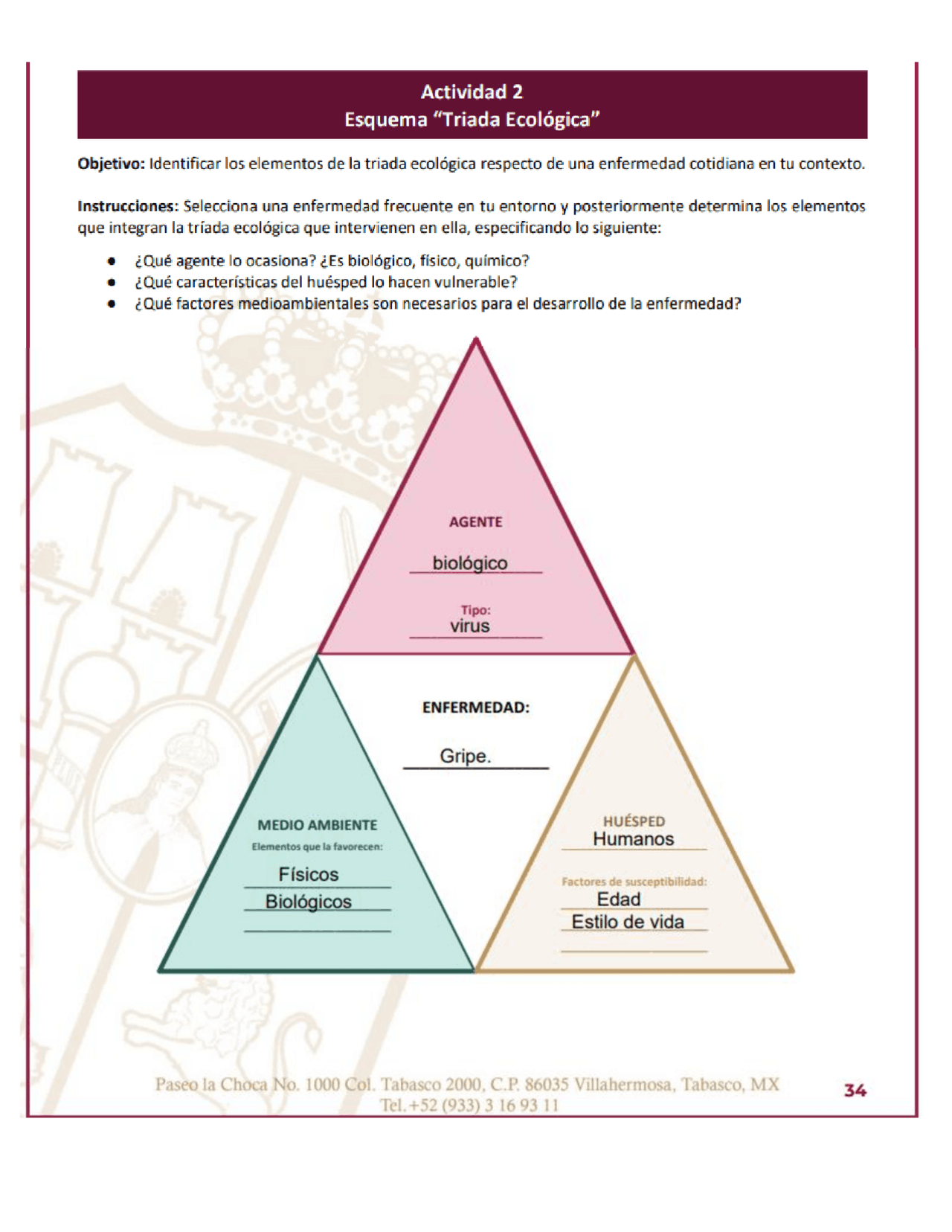 Triada ecológica de una enfermedad de tu entorno | Esquemas y mapas ...