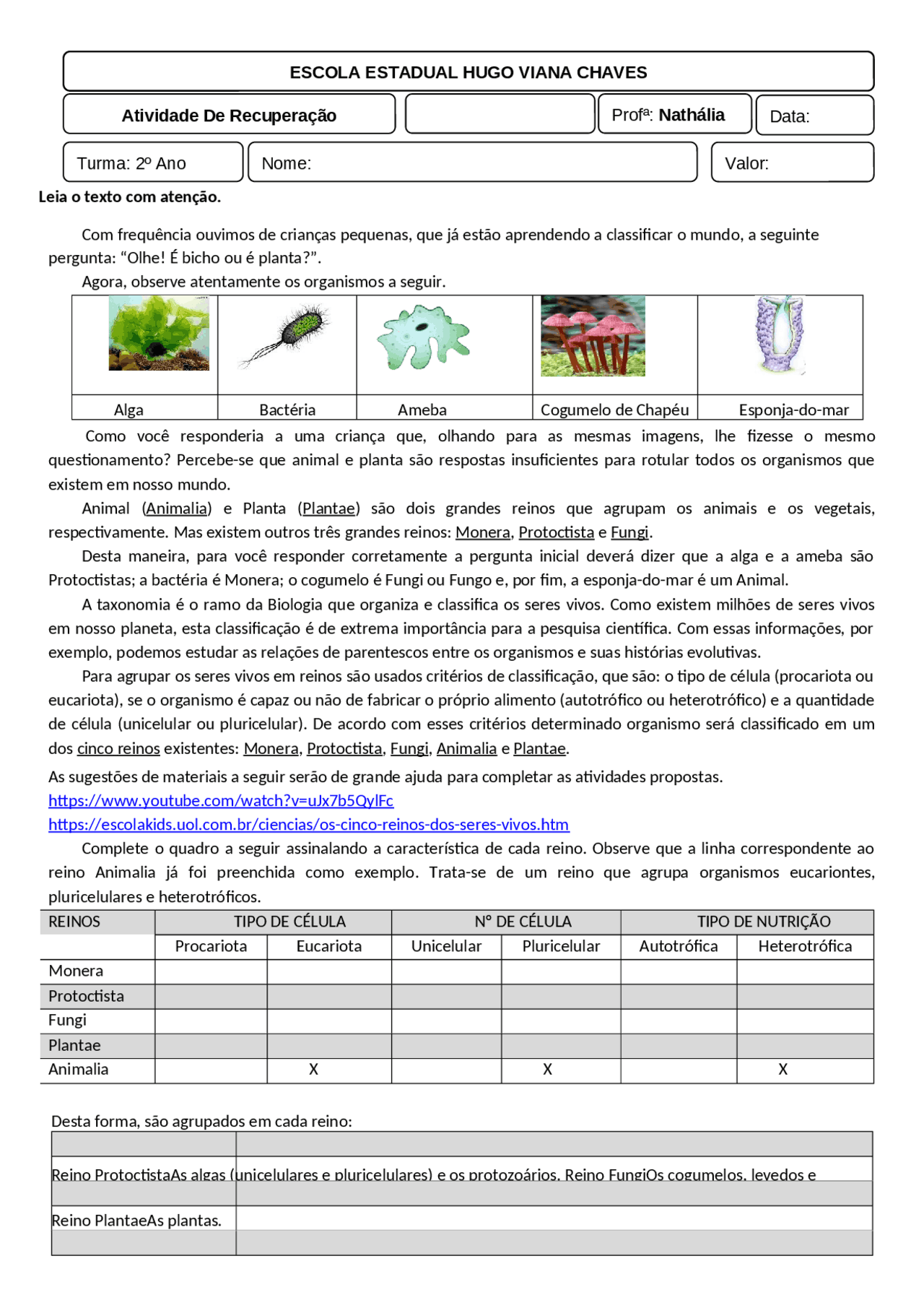 Classificação dos Seres Vivos: Reino Monera, Protoctista, Fungi, Plantae e  Animalia | Exercícios Classificação e Reconhecimento de Padrões | Docsity
