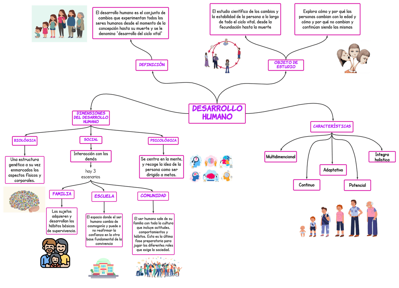 PSICOLOGÍA DEL DESARROLLO HUMANO | Esquemas y mapas conceptuales de