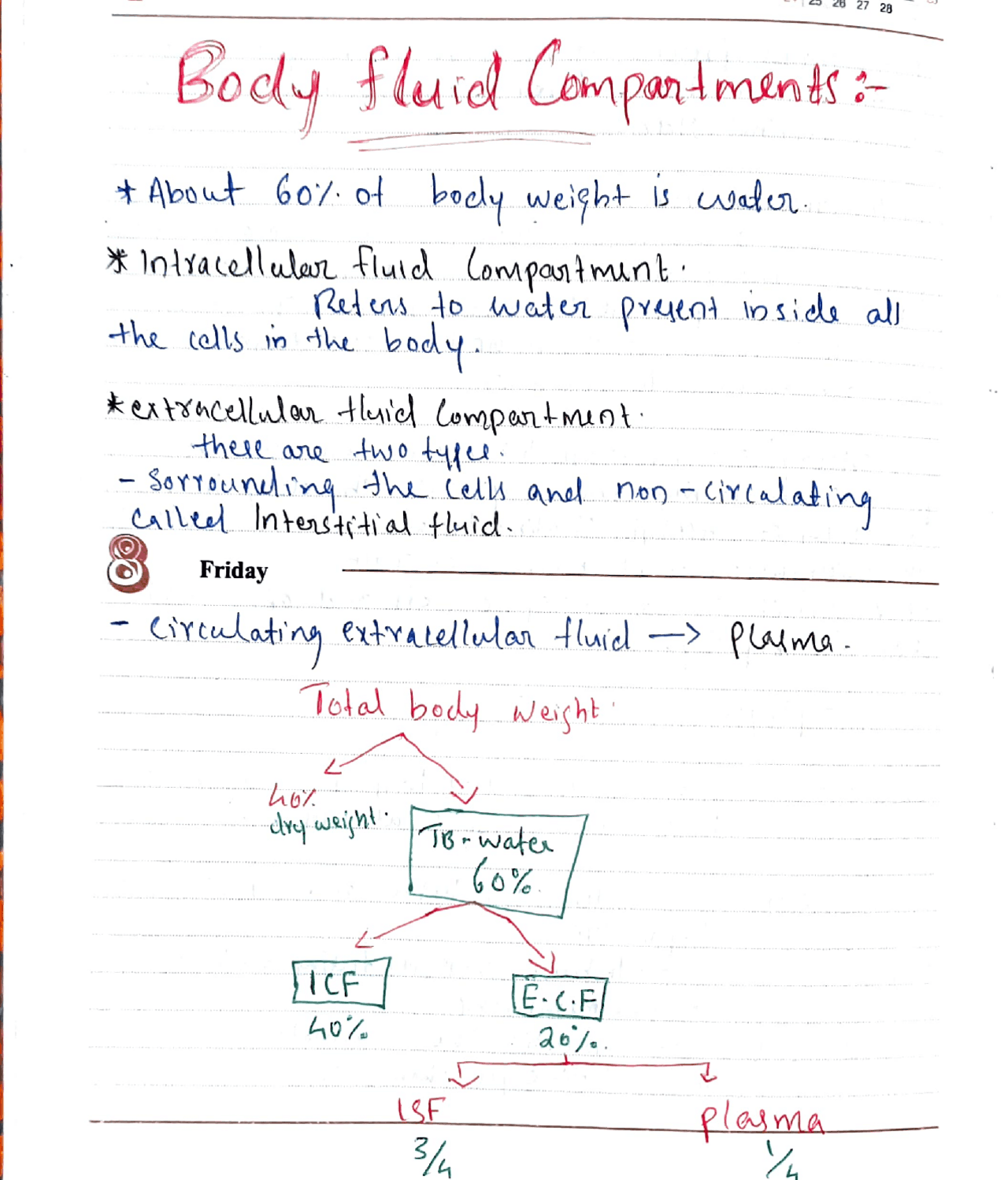 BODY FLUID COMPARTMENTS | Study notes Physiology | Docsity