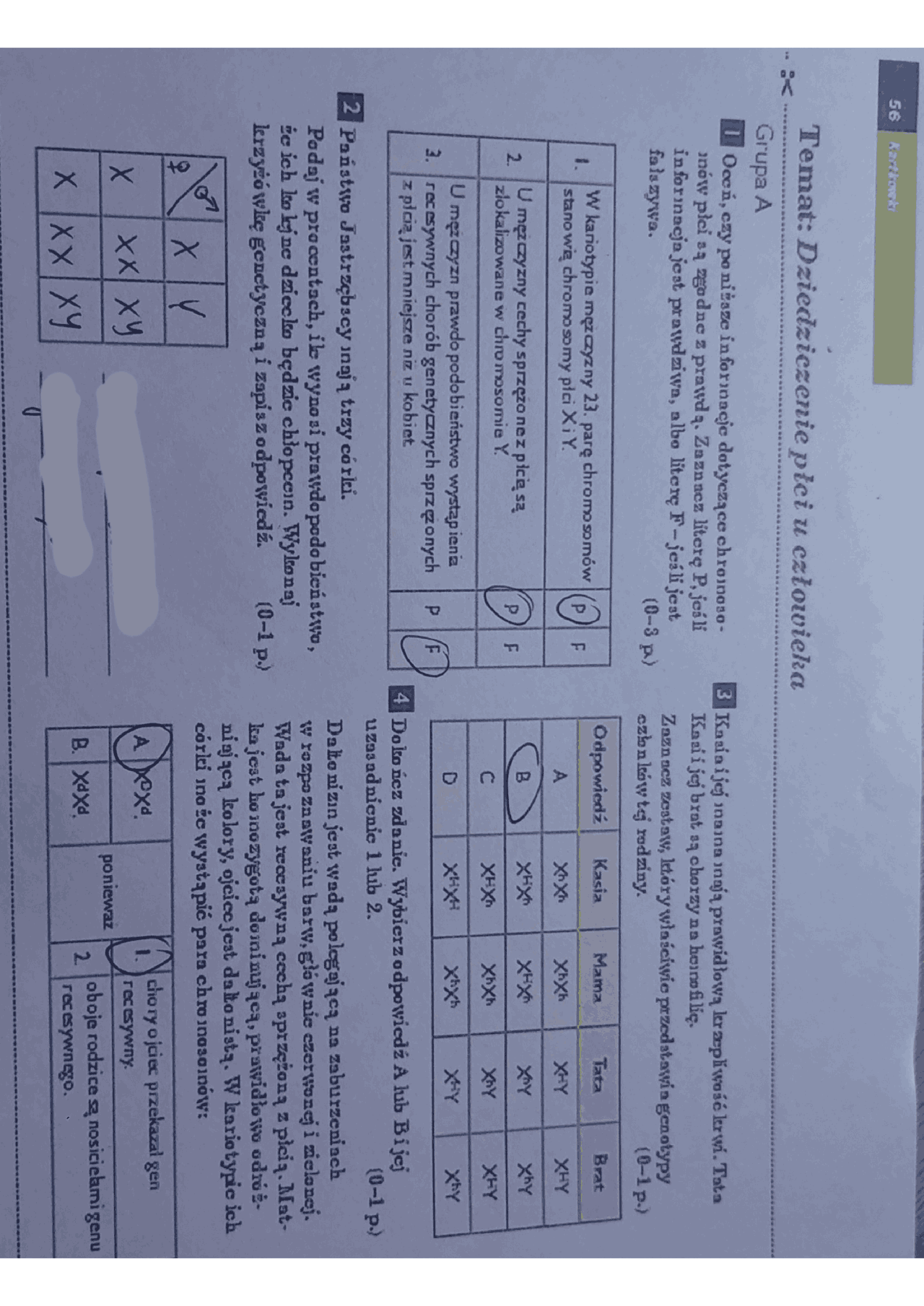 Dziedziczenie płci człowieka | Testy Biologia | Docsity