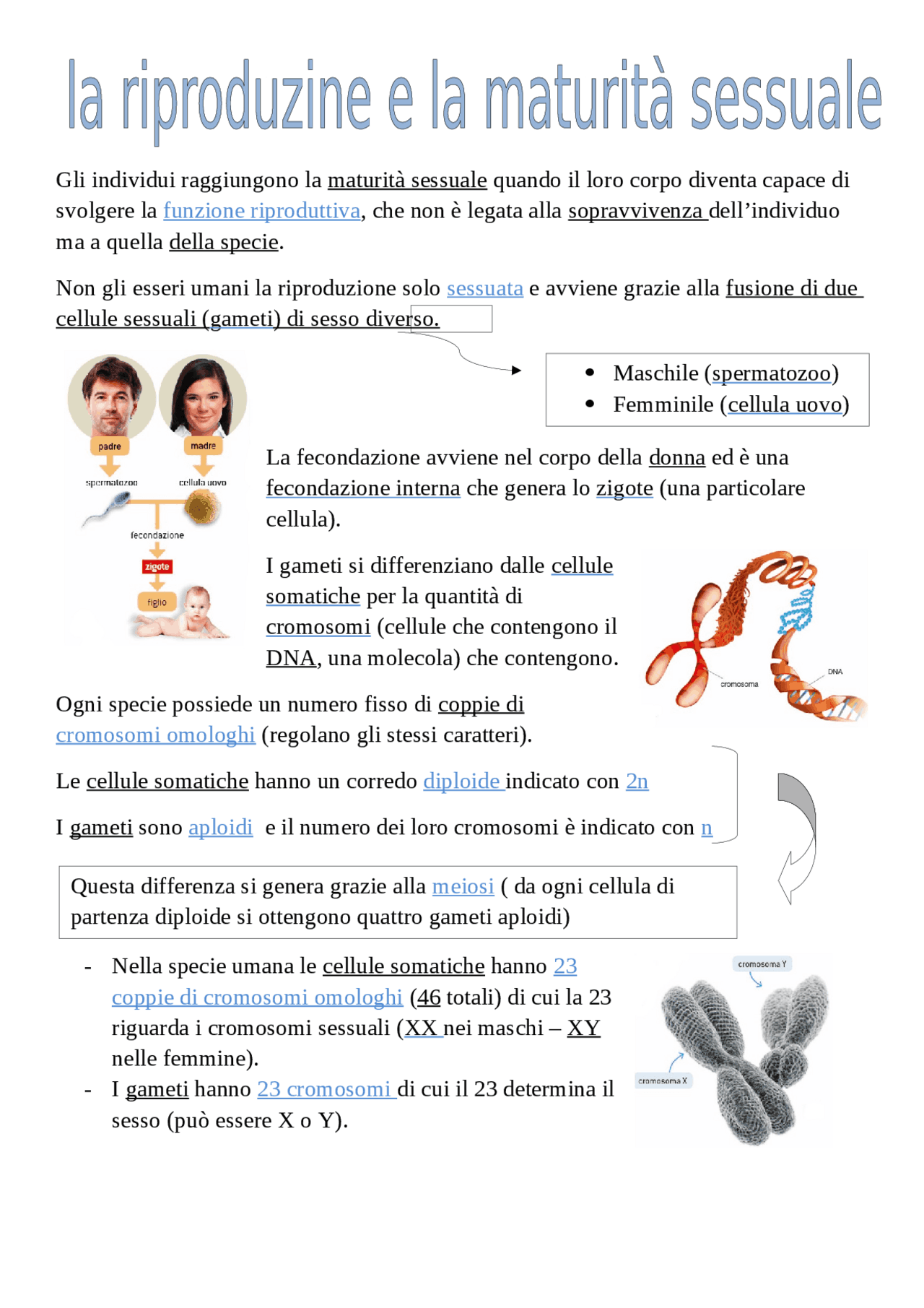 Cellule Di Riproduzione Sessuale