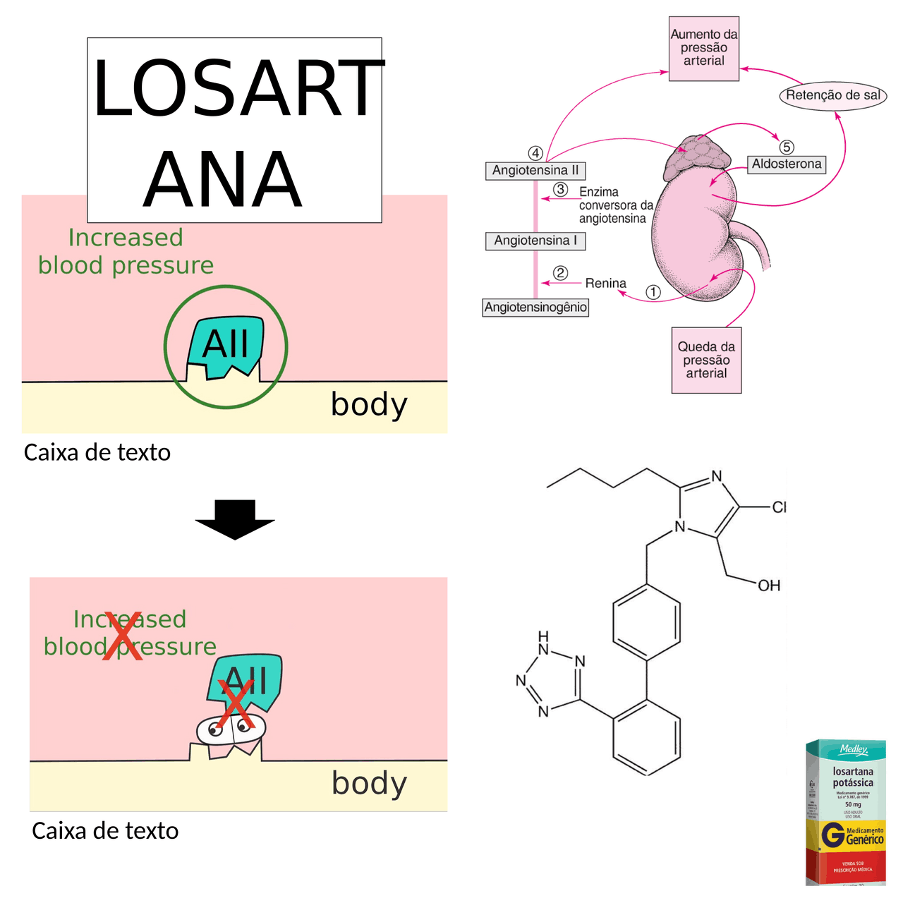 Mecanismo De Ação Da Losartana - RETOEDU