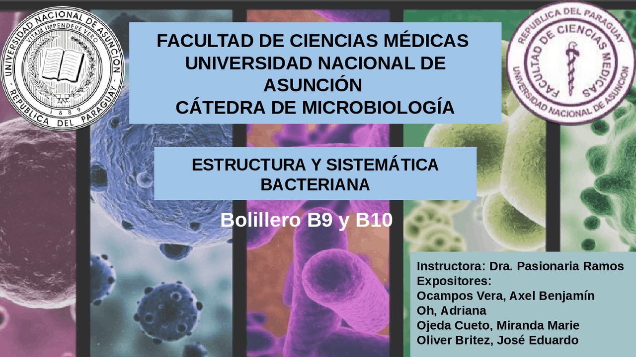 Bacterias: Morfología, Estructura Celular y Tipos | Resúmenes de ...