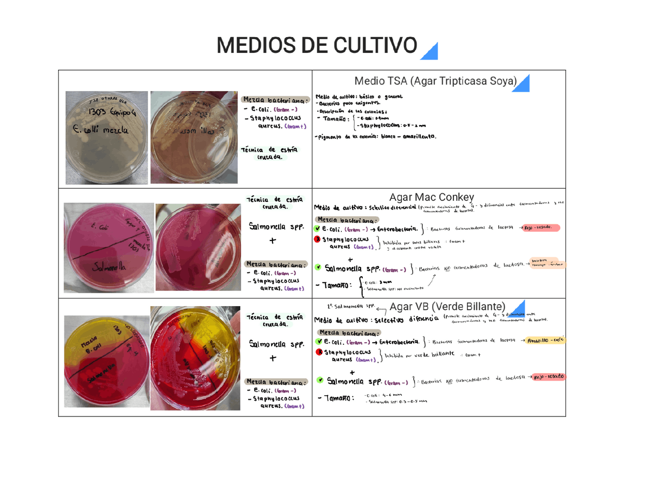 Pruebas bioquímica para identificación de bacterias género y especie
