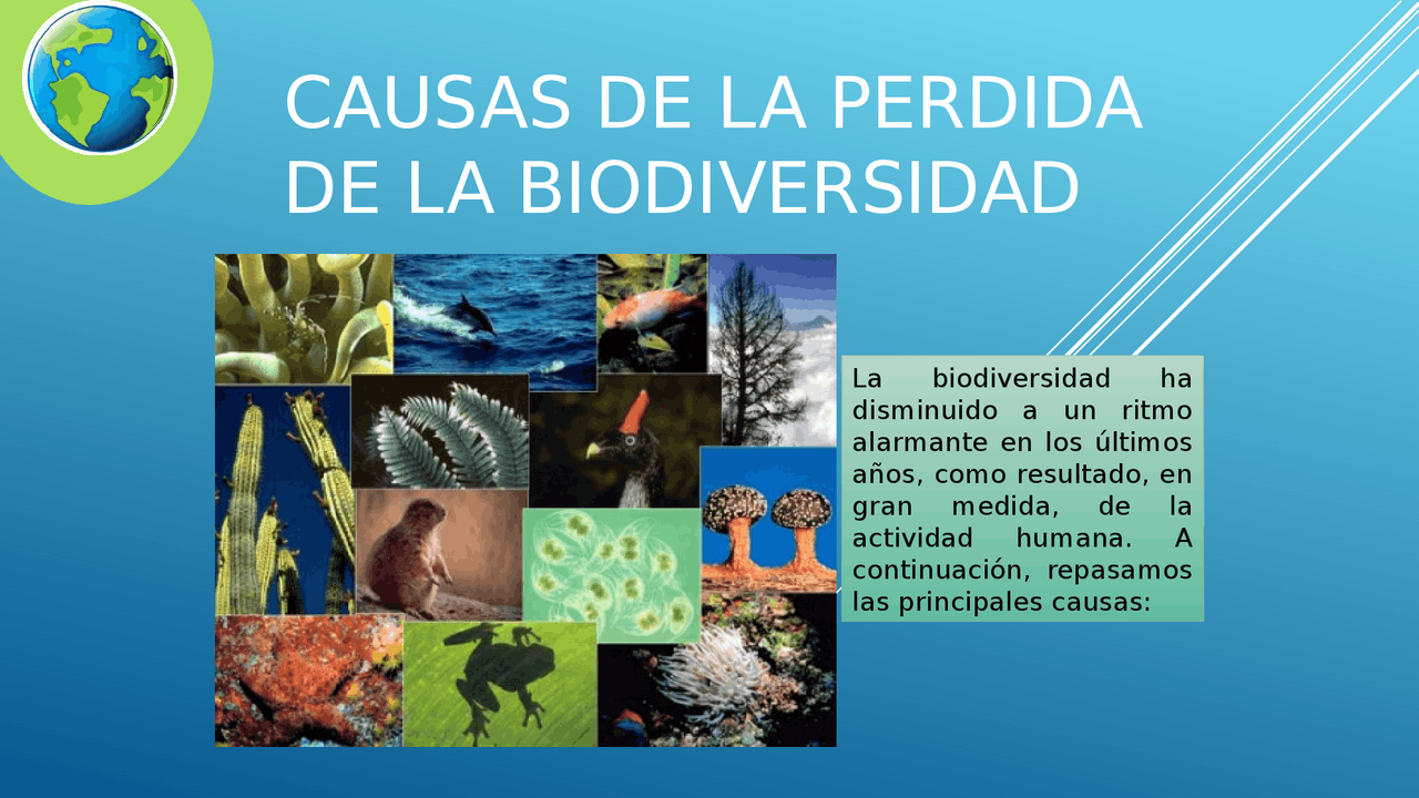 PERDIDA DE LA BIODIVERSIDAD EN EL PERU Y EL MUNDO | Resúmenes de ...