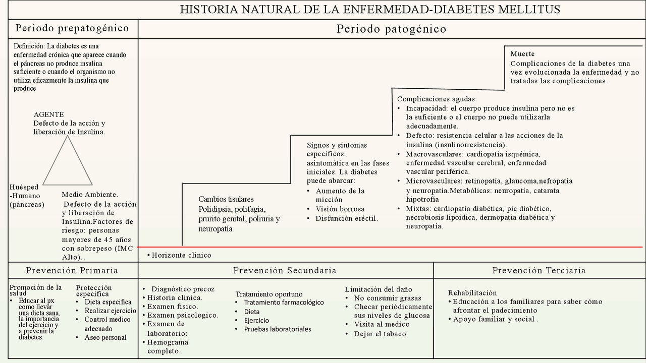 Historia Natural Diabetes | Diapositivas de Biología | Docsity