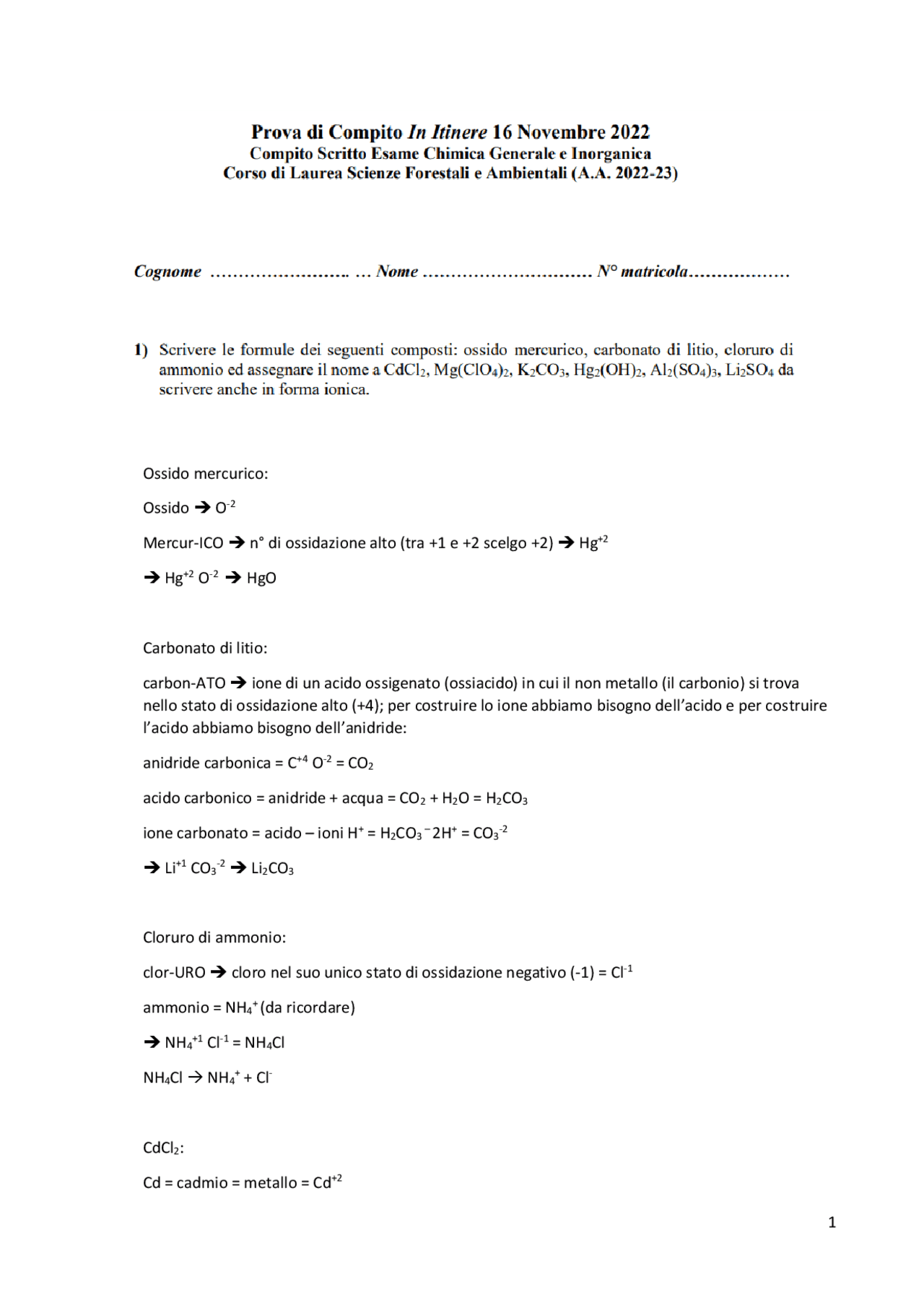 Grembiule Per Protezione Chimica LDPE - Perugia - Foto 9