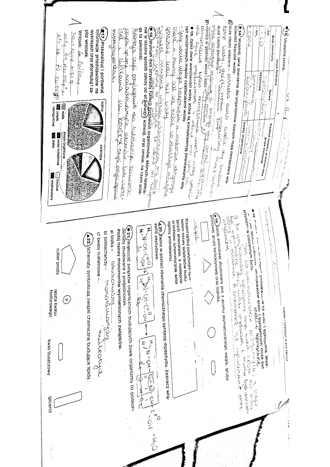 Chemiczne podstawy życia Biologia sprawdzian kl 1 lo | Egzaminy