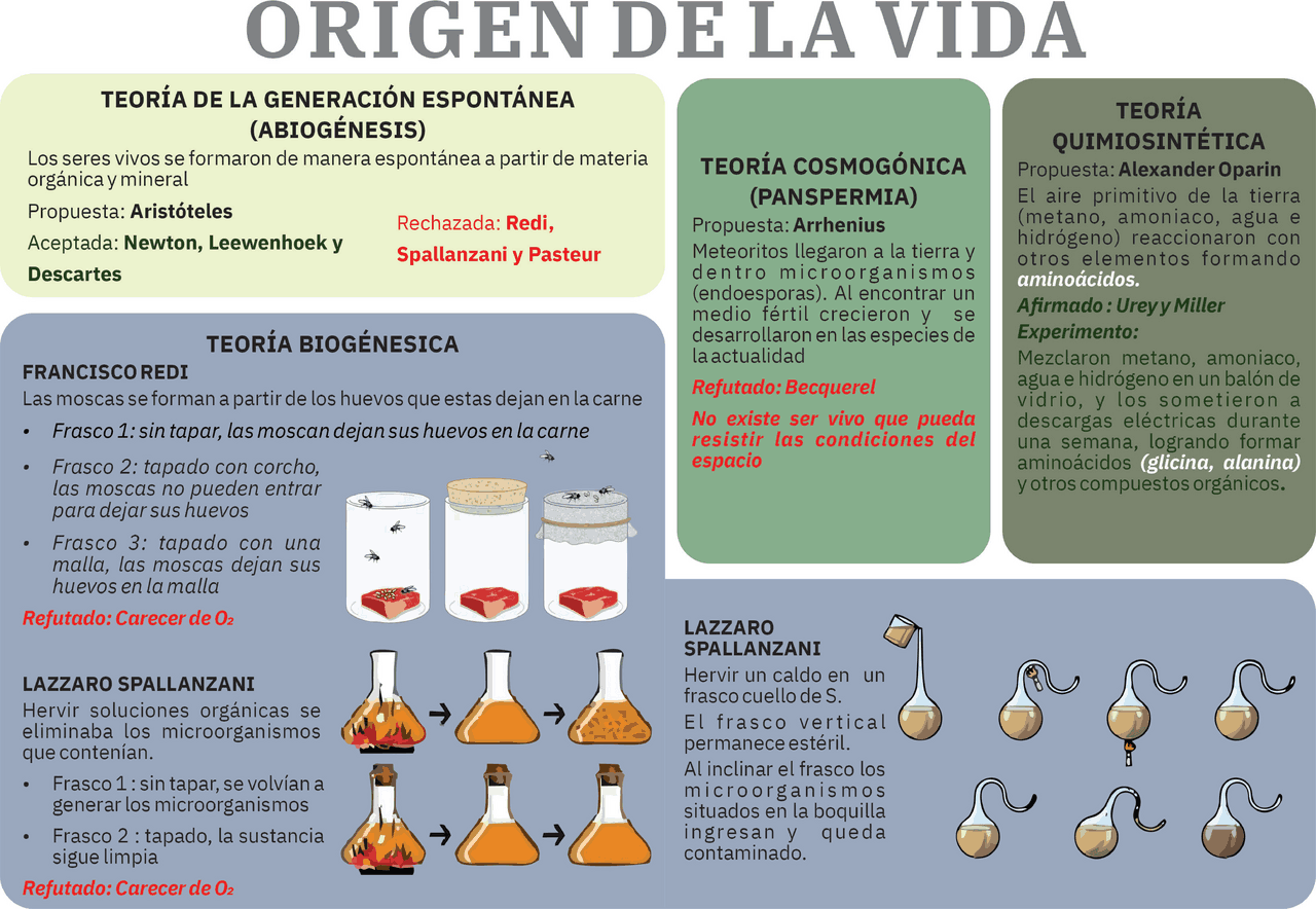 RESÚMEN ORIGEN DE LA VIDA | Esquemas y mapas conceptuales de Biología