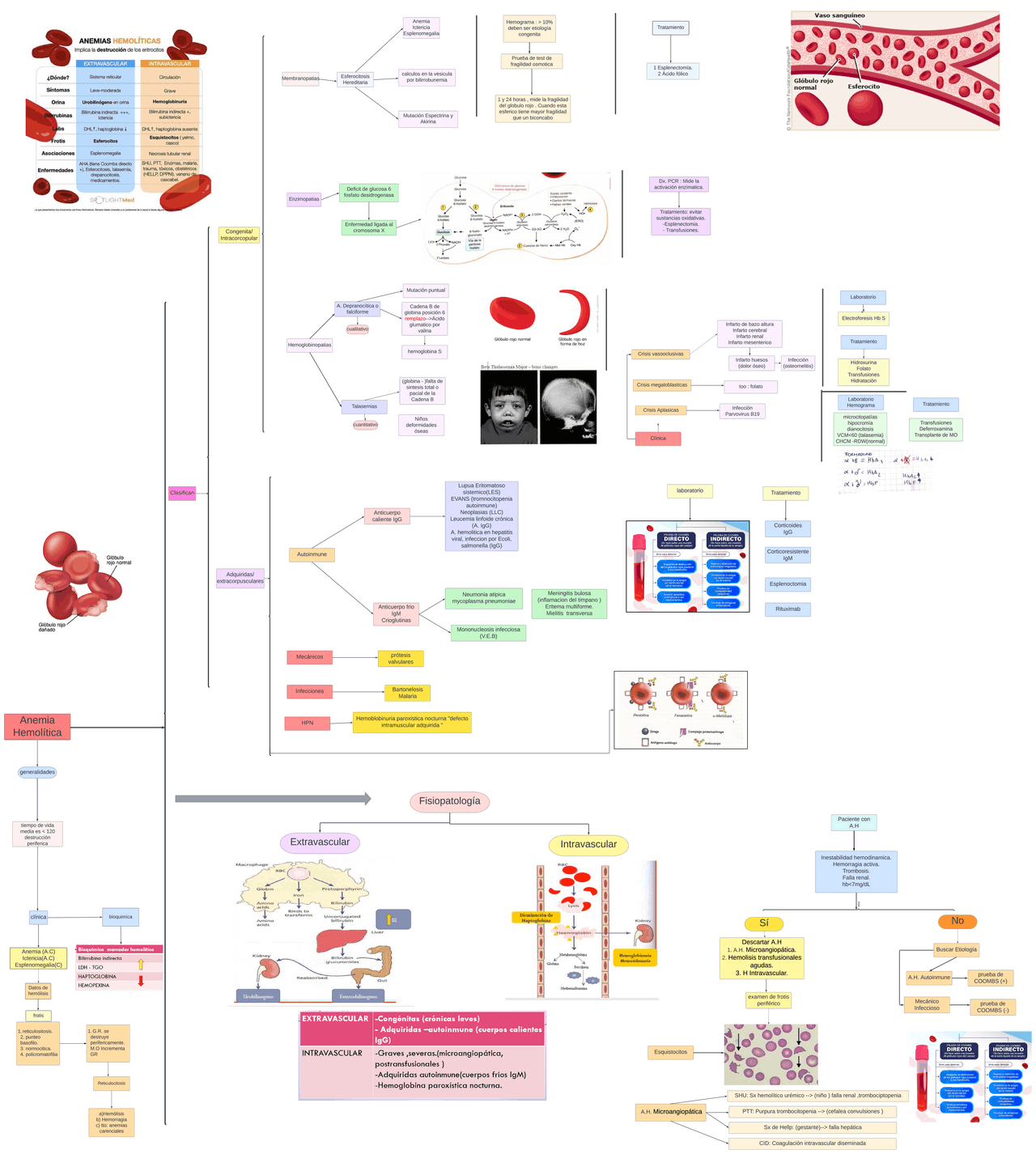 Esquema de Anemia Hemolítica | Esquemas y mapas conceptuales de ...