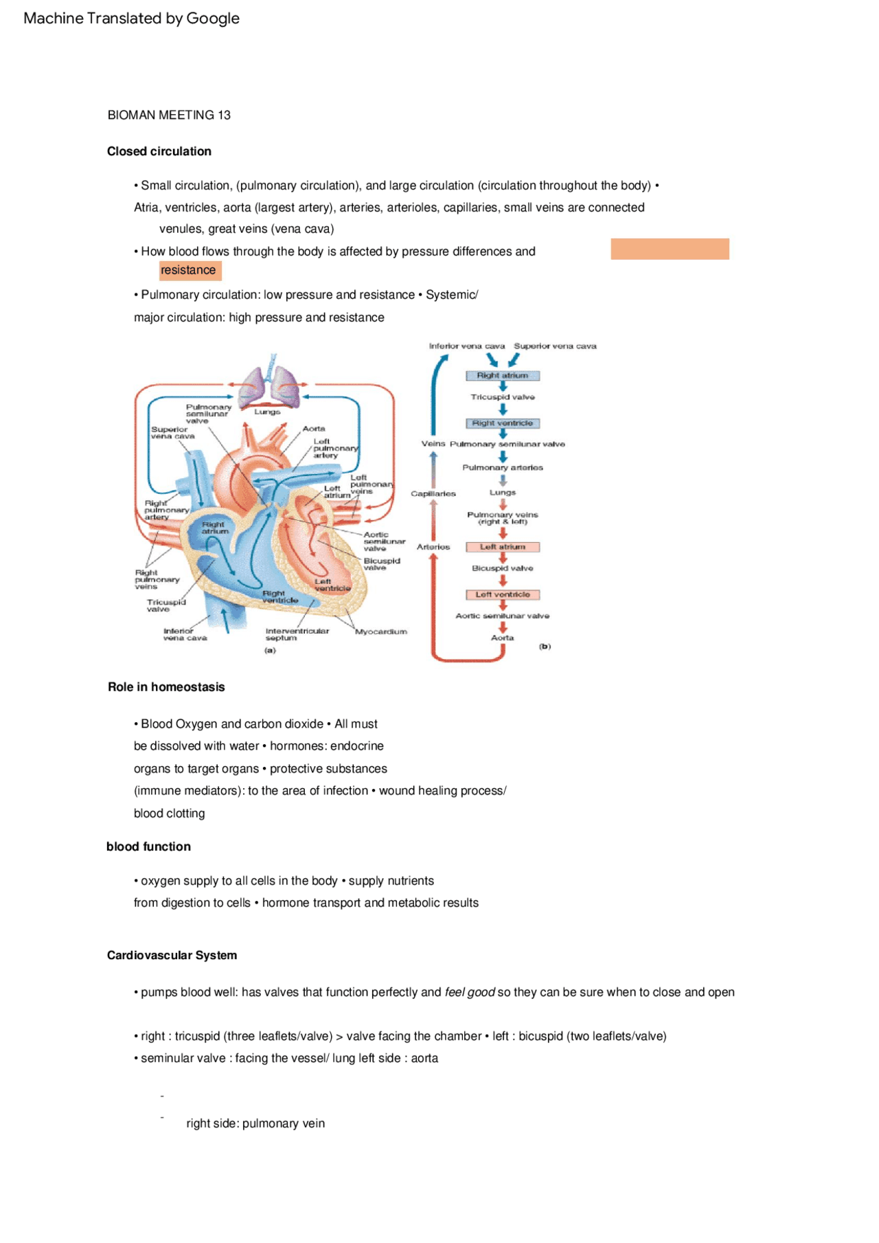 Circulation Study Guide Closed circulation, Role in homeostasis, blood function ...