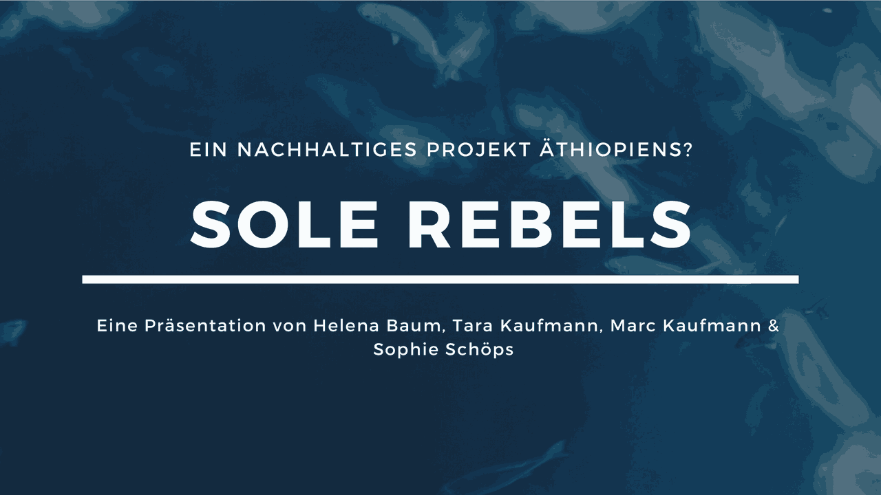 Eine Kurzpräsentation über die Marke Sole Rebels aus Äthiopien Slides