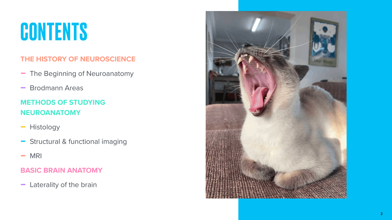 History of neuroscience and neuroanatomy | Study notes Biology | Docsity