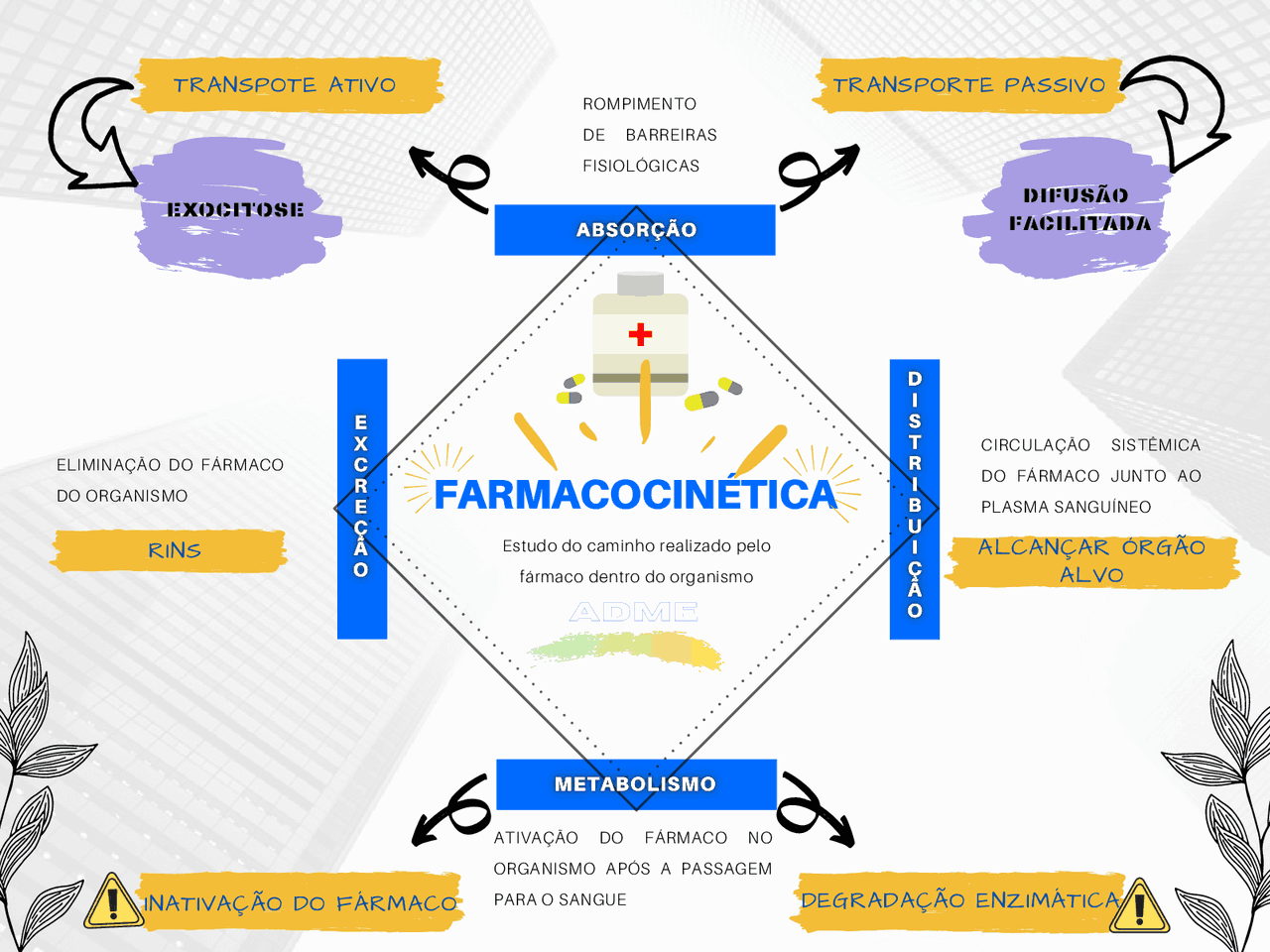 Mapa Mental Farmacocinética E Farmacodinâmica - RETOEDU