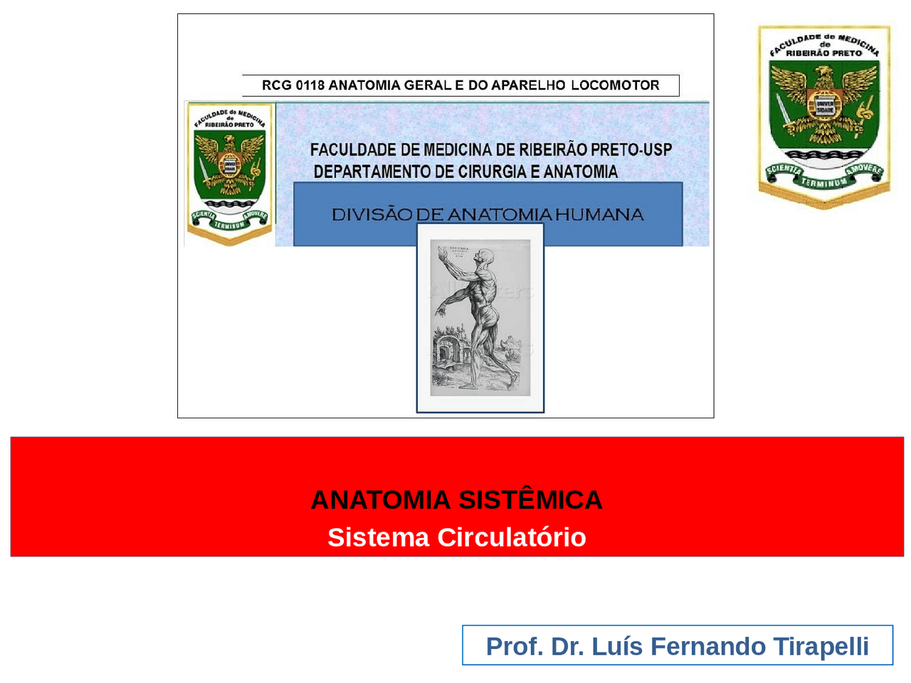Anatomia Do Sistema Circulatorio Esquemas Anatomia Docsity Anatomia Do Sistema Circulatorio Esquemas Anatomia Docsity