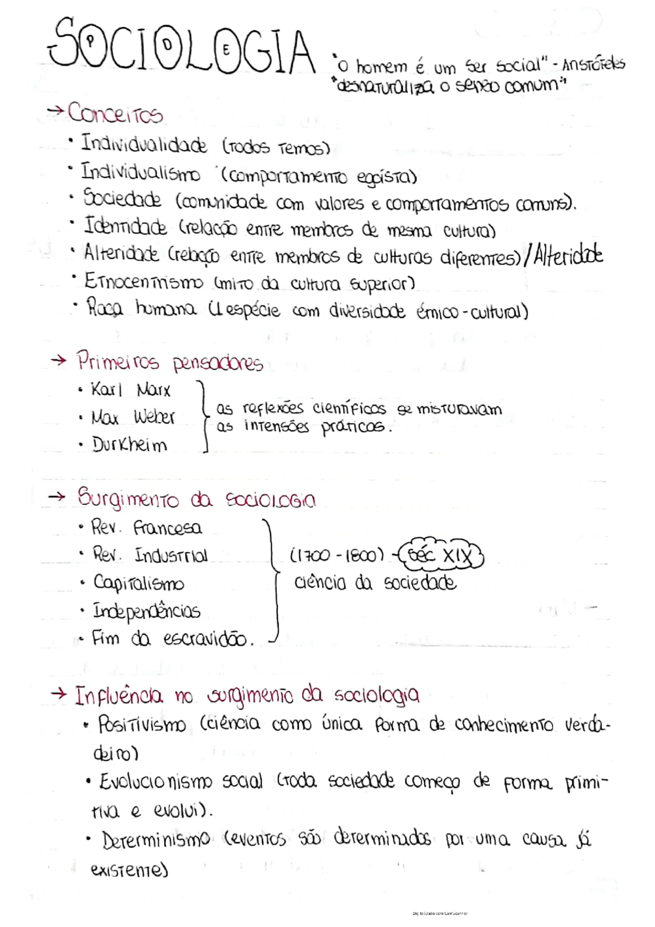 Resumos de Sociologia do Ensino Médio | Resumos Sociologia | Docsity