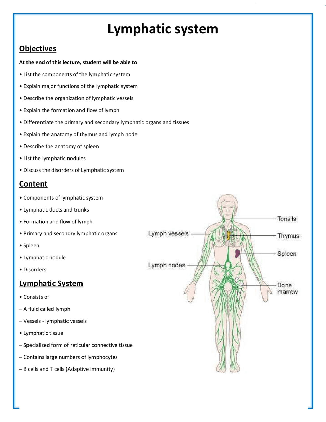 Lymph Human Anatomy and Physiology Notes | Lecture notes Anatomy | Docsity