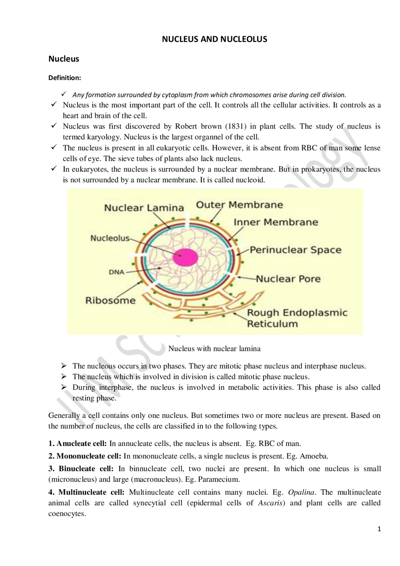 Nucleus Notes.pdf Ultrastructure of nucleus and nucleolus | Study notes Cellular and ...