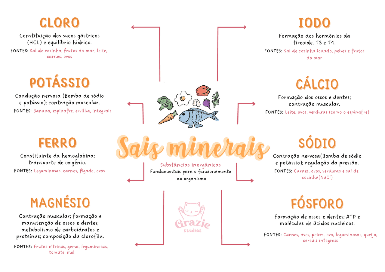Mapa Mental com 8 dos principais Sais Minerais para o organismo ...