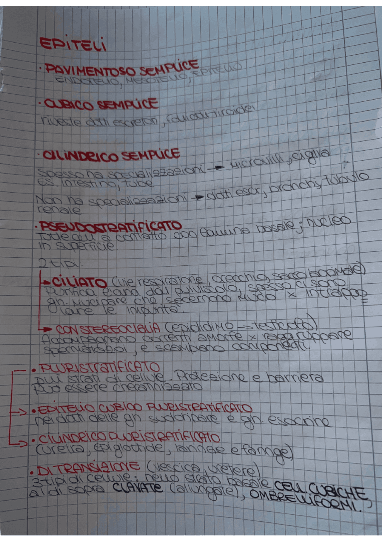 Matemática Schema Breve Schemi E Mappe Concettuali Di Matematica