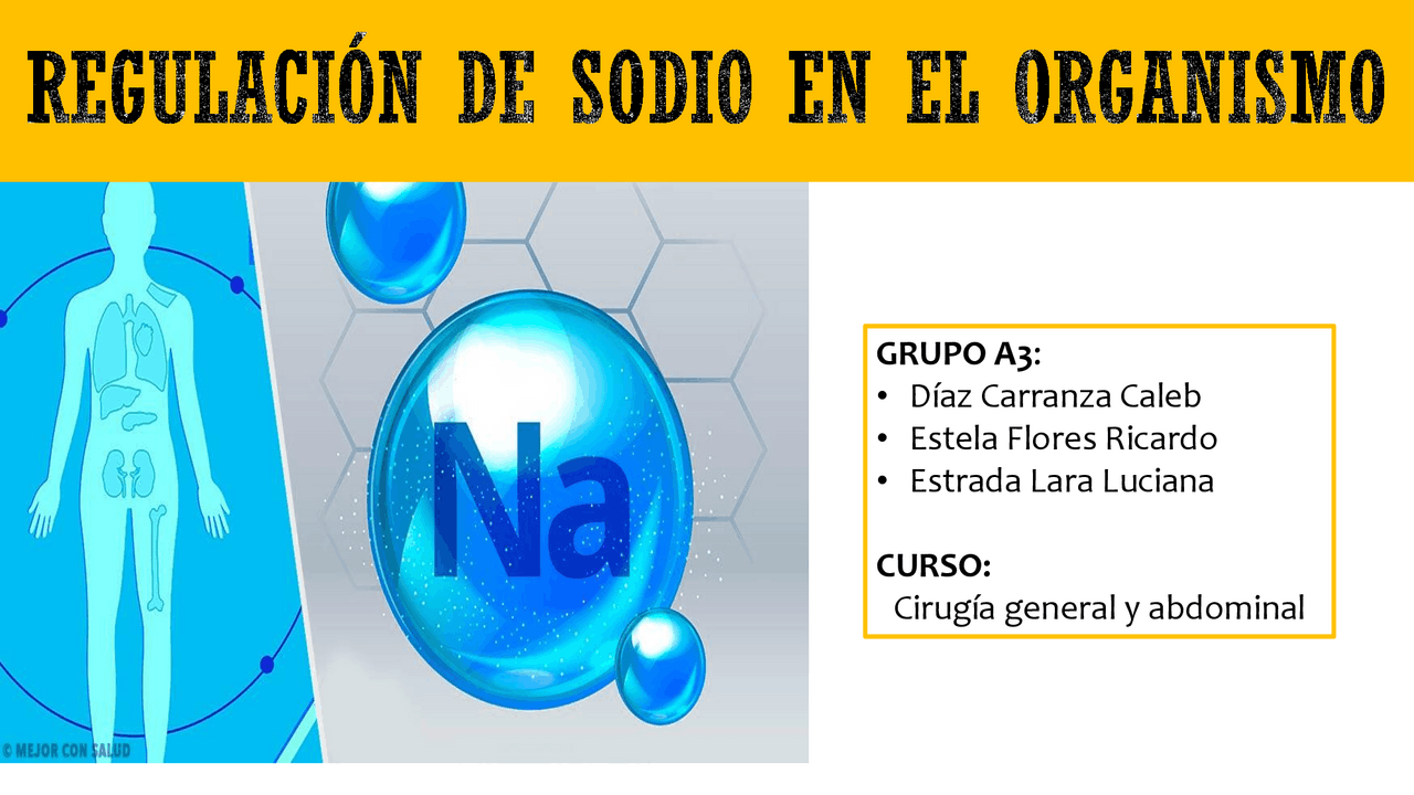 Regulación del equilibrio de sodio en el organismo | Esquemas y mapas ...