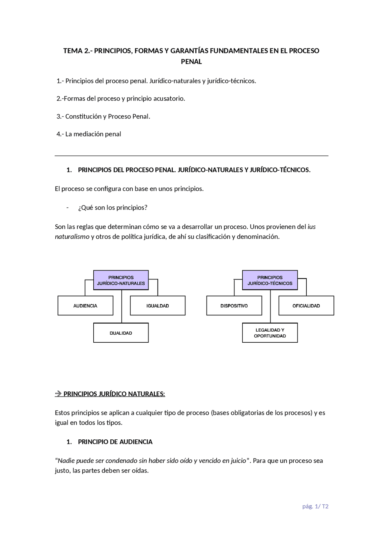 Tema 2 procesal penal | Apuntes de Derecho Procesal | Docsity